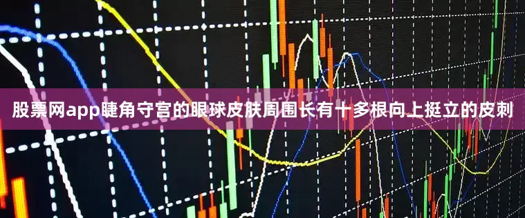 股票网app睫角守宫的眼球皮肤周围长有十多根向上挺立的皮刺