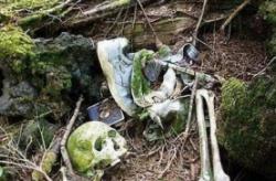 日本自杀森林恐怖吗，遍地尸骨残骸/诡异之声阵阵入耳