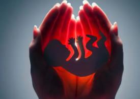 堕胎后婴灵的处境如何，父母应该怎么做才能化解罪孽？
