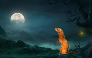 黄鼠狼拜月的科学解释，黄鼠狼为什么会拜月