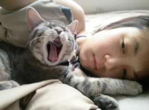 养猫的诡异禁忌，为什么说女生不能和猫一起睡