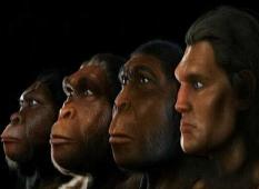 人类根本不是进化来的，人类杀死了地球原住民取而代之