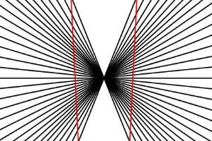离奇诡异的黑林错觉图片，能让人产生幻觉认为直线是弯的