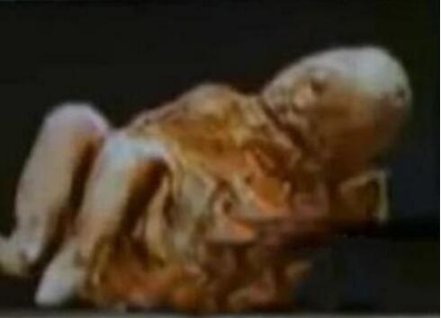 冰封600年女尸产下的活婴特灵娜是真是假，出生还有呼吸(假的)