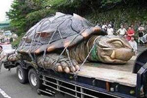 黄河巨龟事件是真的吗，传说是真的体型庞大(大卡车都装不下)