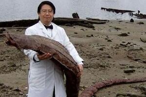 日本海岸发现不明生物，疑似核泄漏后的变异体(外形怪异吓人)