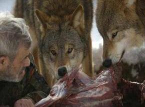 史上狼吃人的惨案曝光，67人被吃头颅遍地骨头成堆
