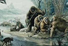 巨猿是怎么灭绝的，专家推测与人类进化有关/10万年前灭绝