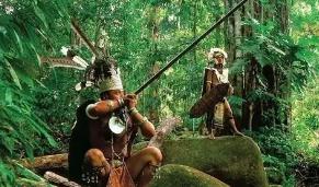 揭秘亚马逊雨林里的原始部落，起源于6万年前/实行一妻多夫