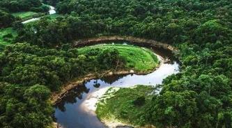 亚马逊雨林在哪个国家，横穿8个国家/巴西森林面积最大占60%