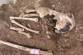 2300年前古墓发现长臂猿遗骸，古墓主人为秦始皇祖母夏姬