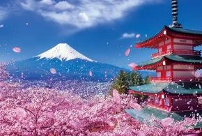 原来富士山是私人财产：浅间神社所有（原是德川家康所有）