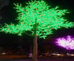 会发光的树：月亮树、照明树等（珍稀保护植物）