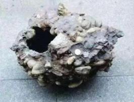 破解金陵神罐奇石之谜，历经万年自然形成的空心彩石/罕见