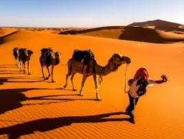 撒哈拉沙漠黄沙形成之谜，破坏生态绿洲一夜间成浩瀚沙漠