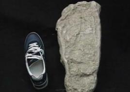 美国化石惊现两亿年前的脚印之谜，疑似两亿年前人类脚印